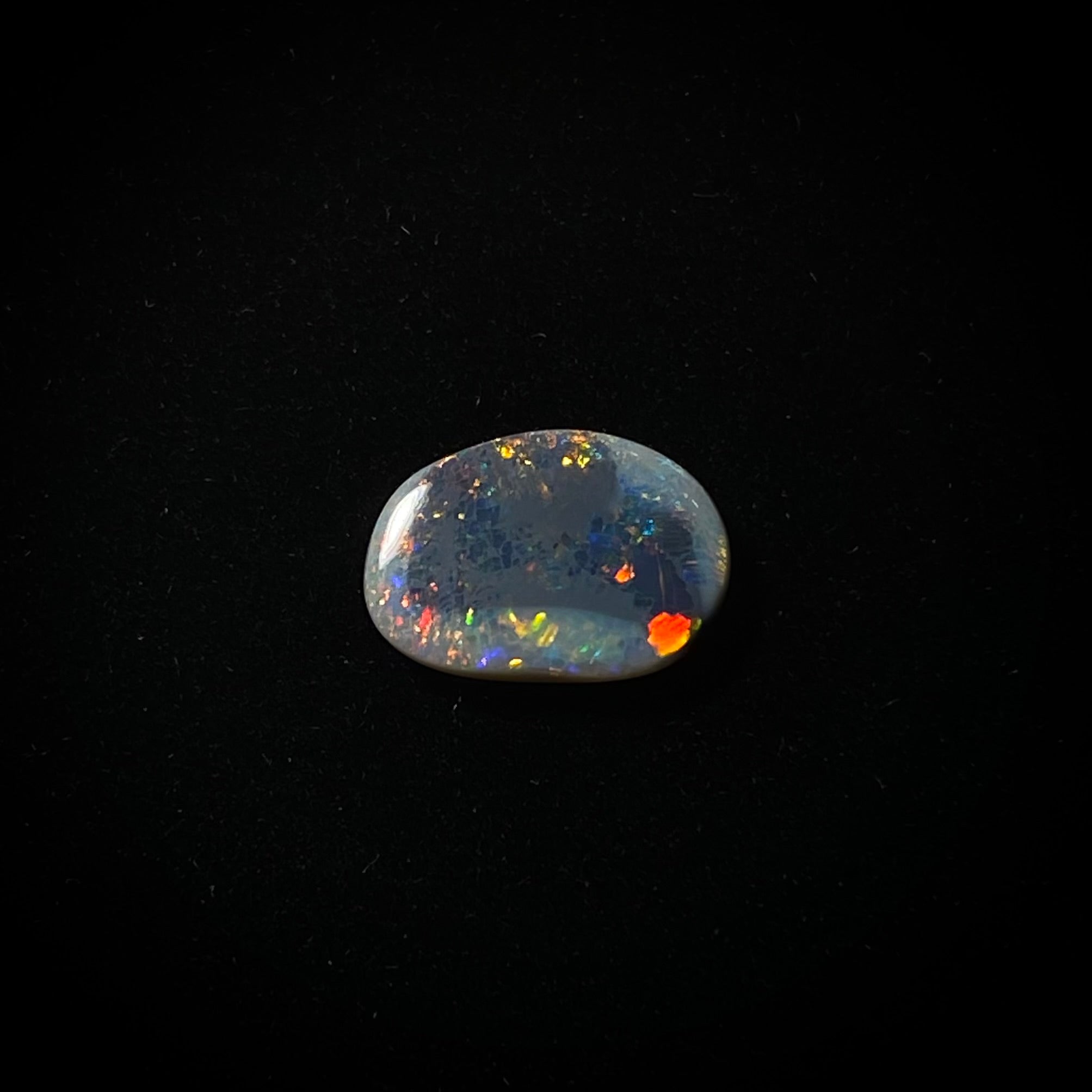 Solid black opal - 11269