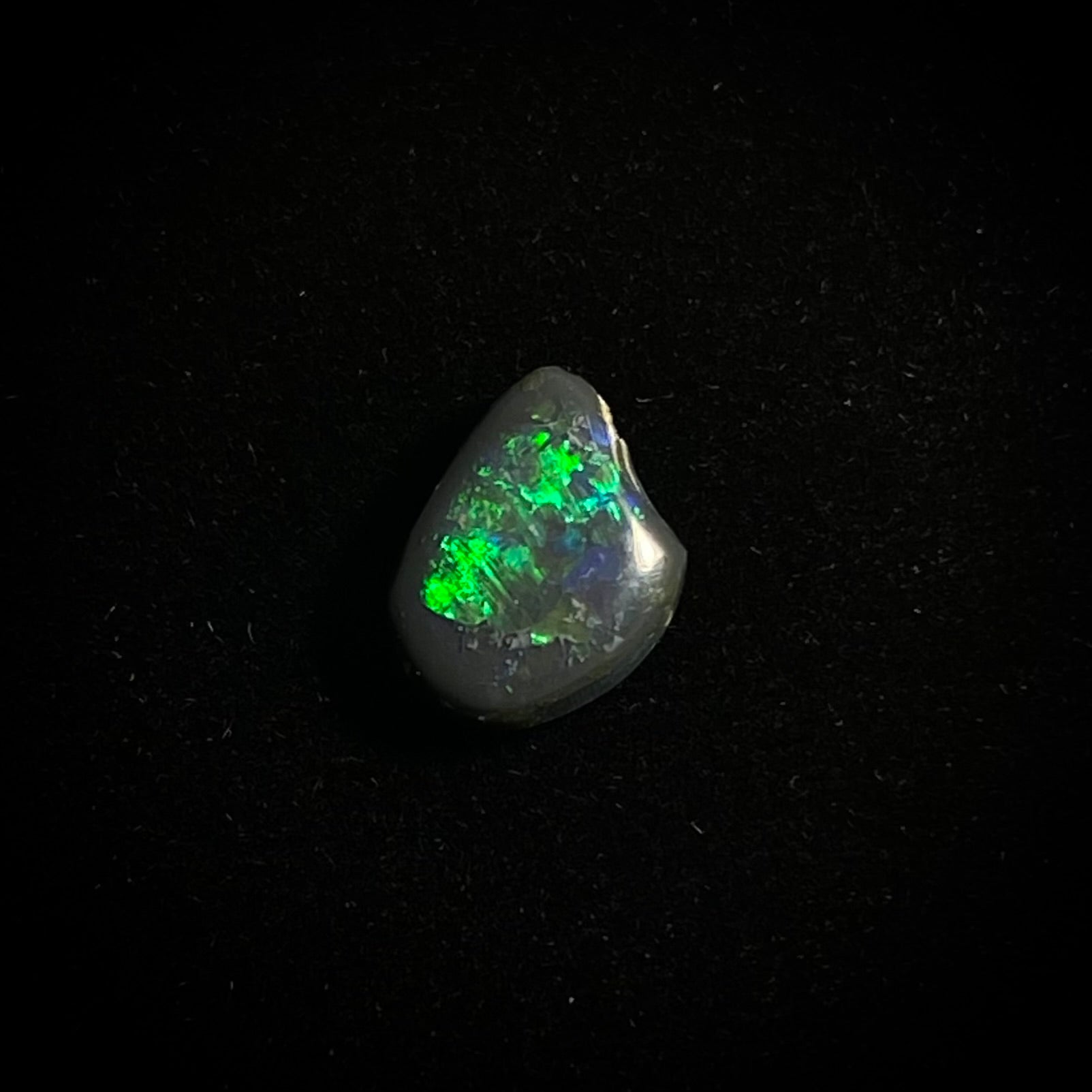 Solid black opal - 11334