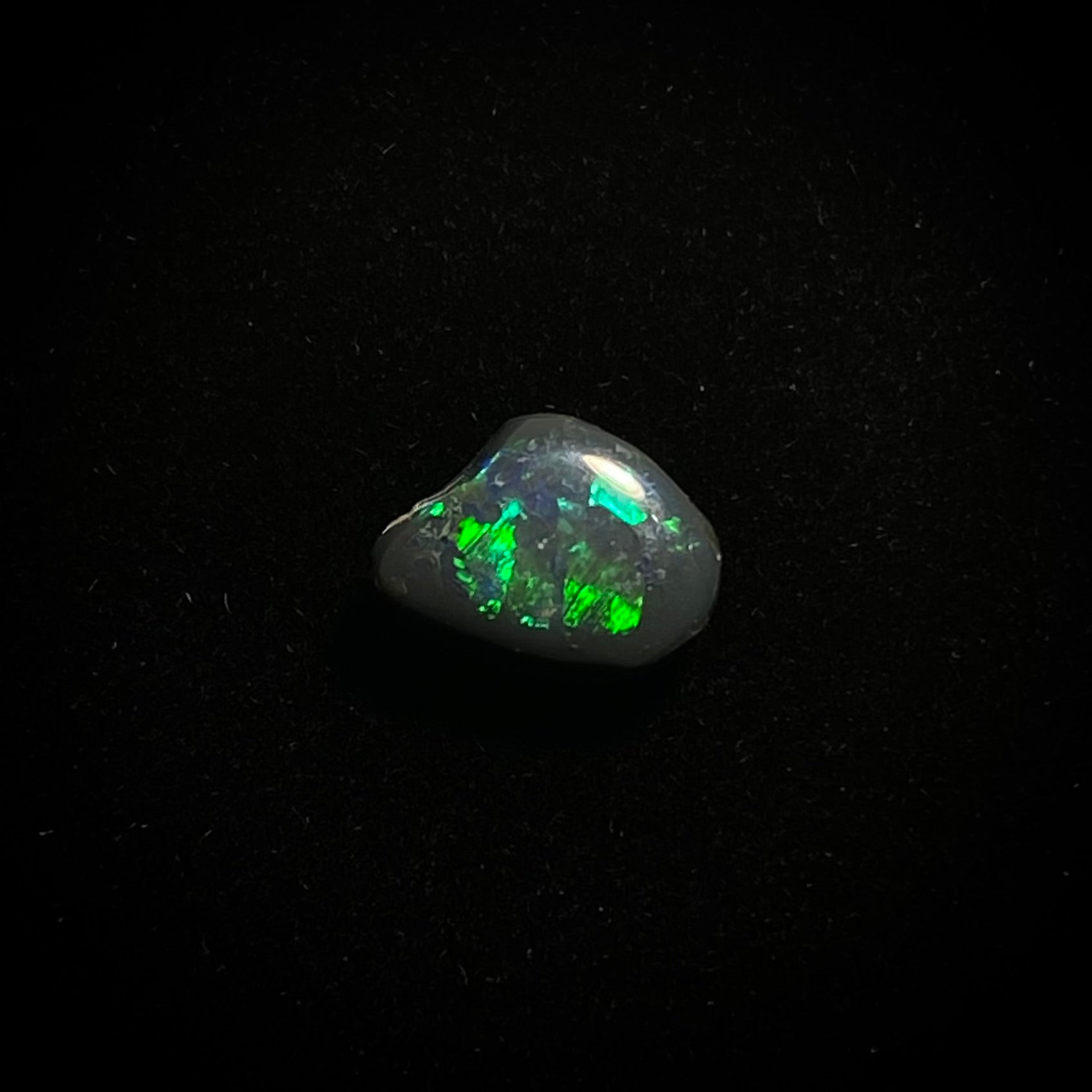Solid black opal - 11334