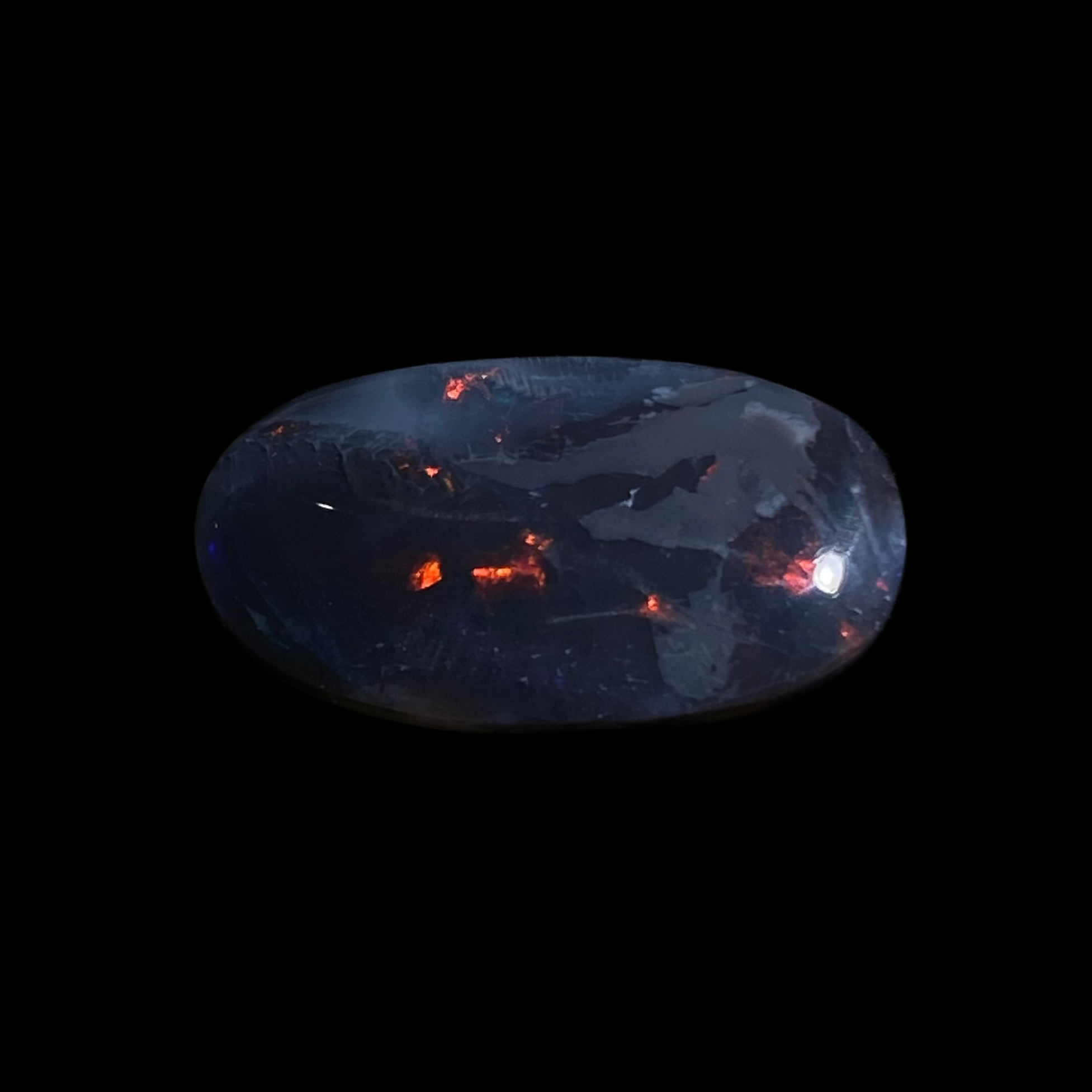 Solid black opal - 11454