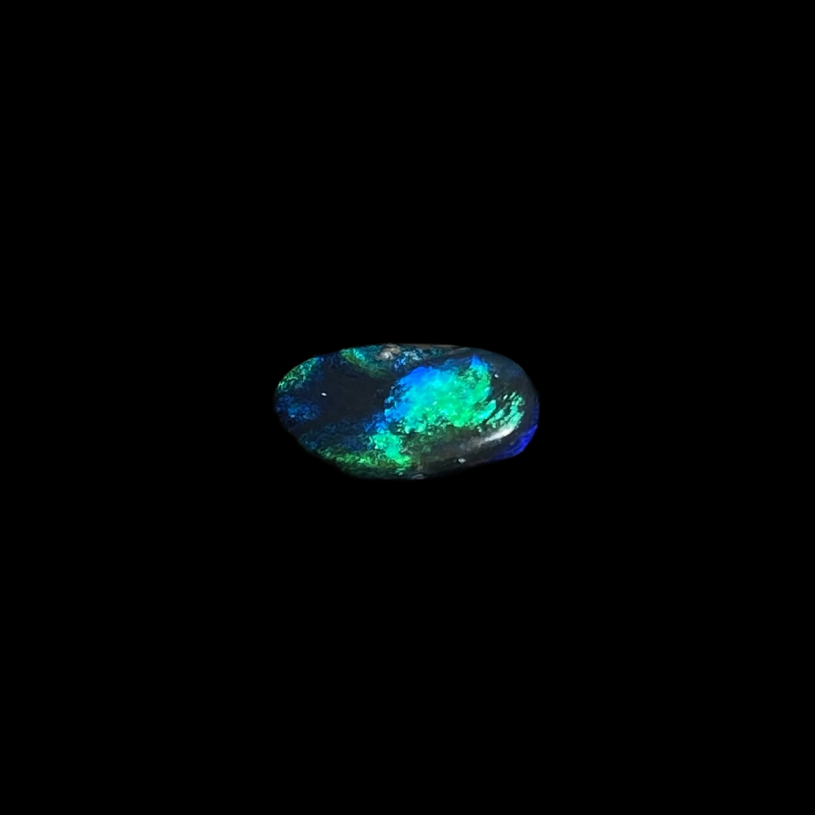Solid black opal – 11519