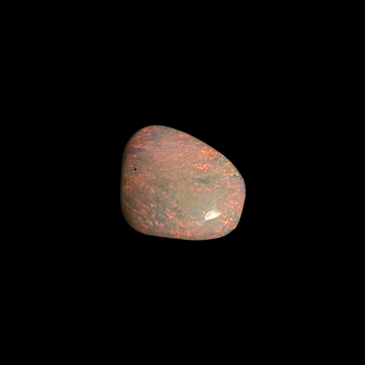 Solid lys opal – 11564