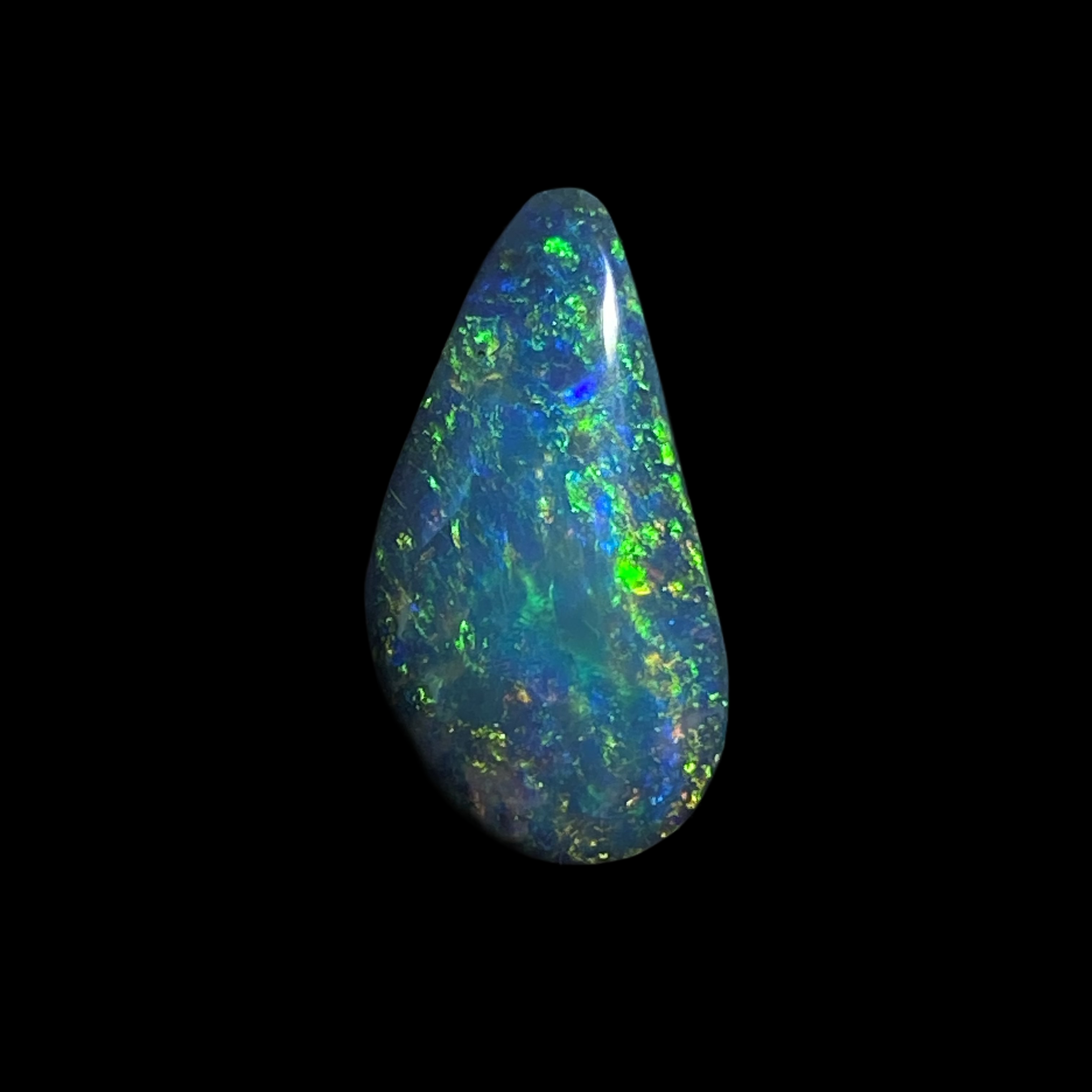 Solid black opal – 11623