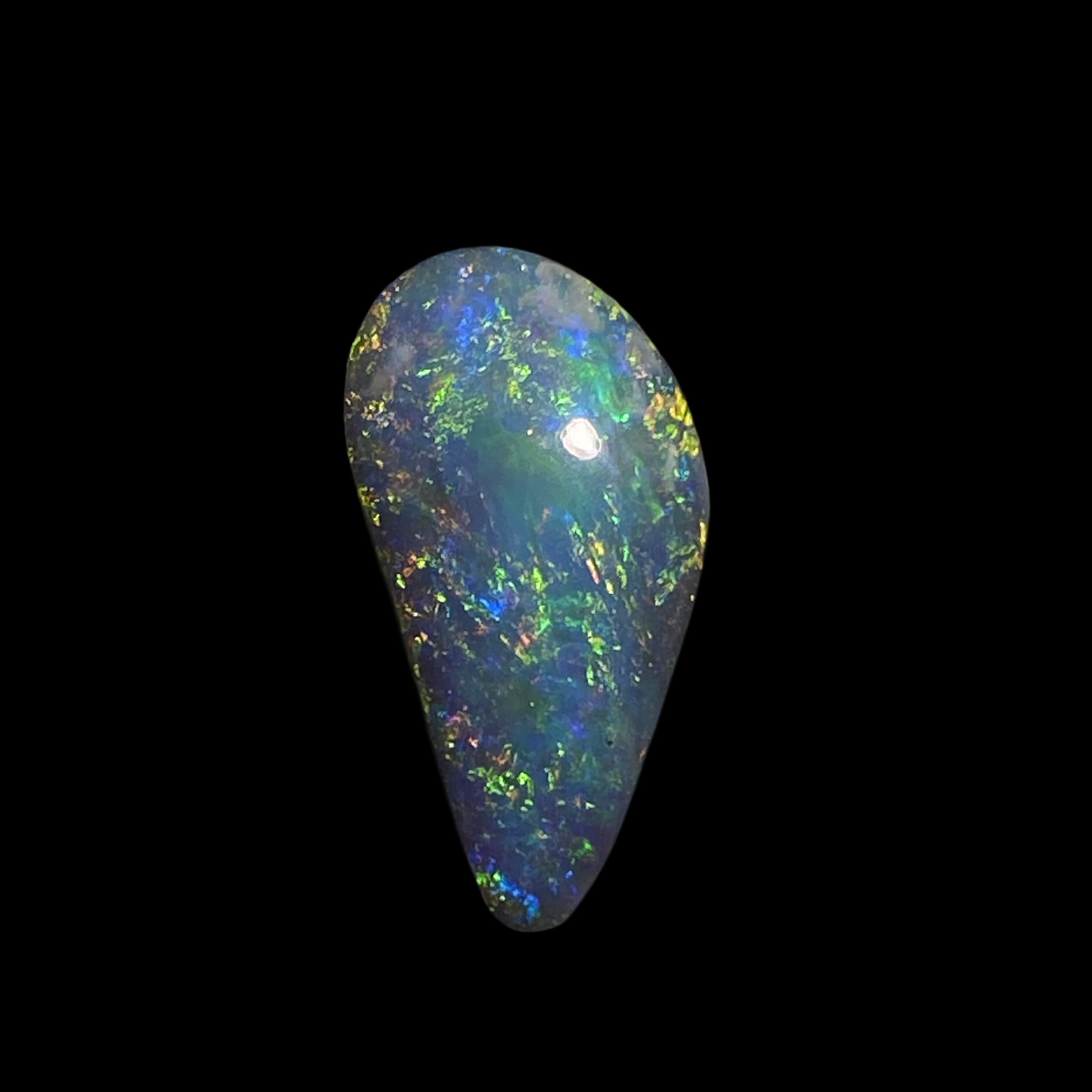 Solid black opal – 11623