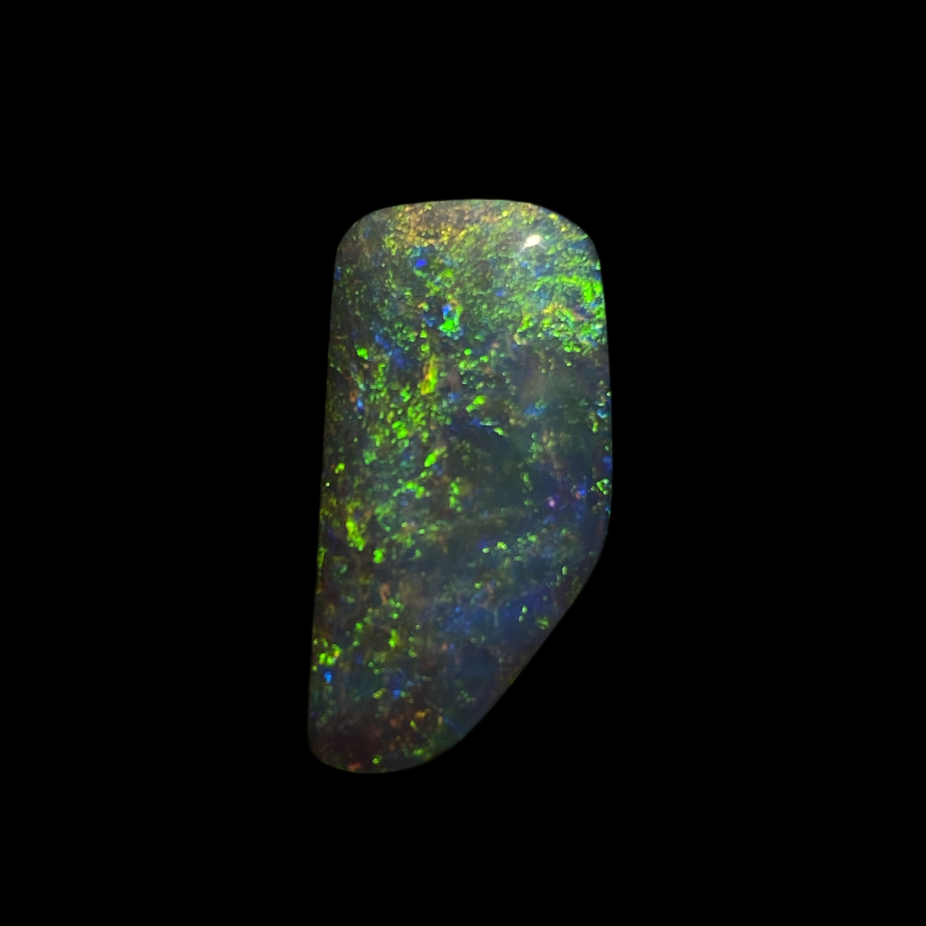 Solid black opal – 11628