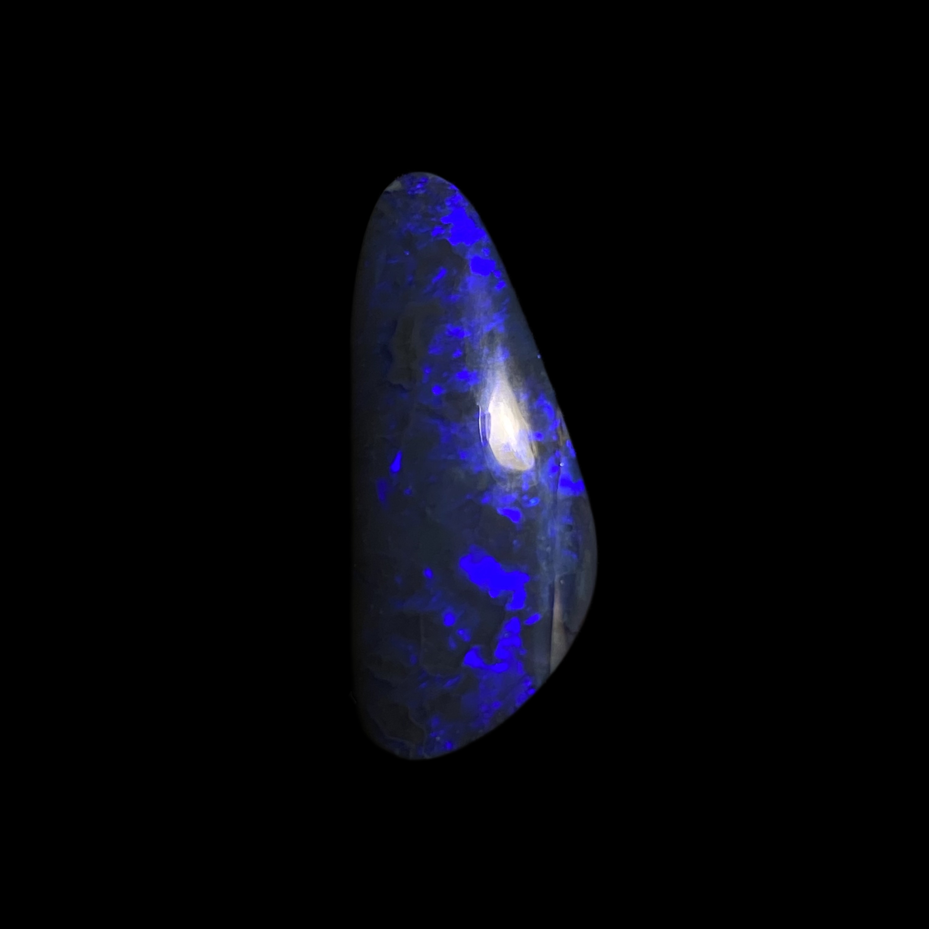 Solid black opal – 11633