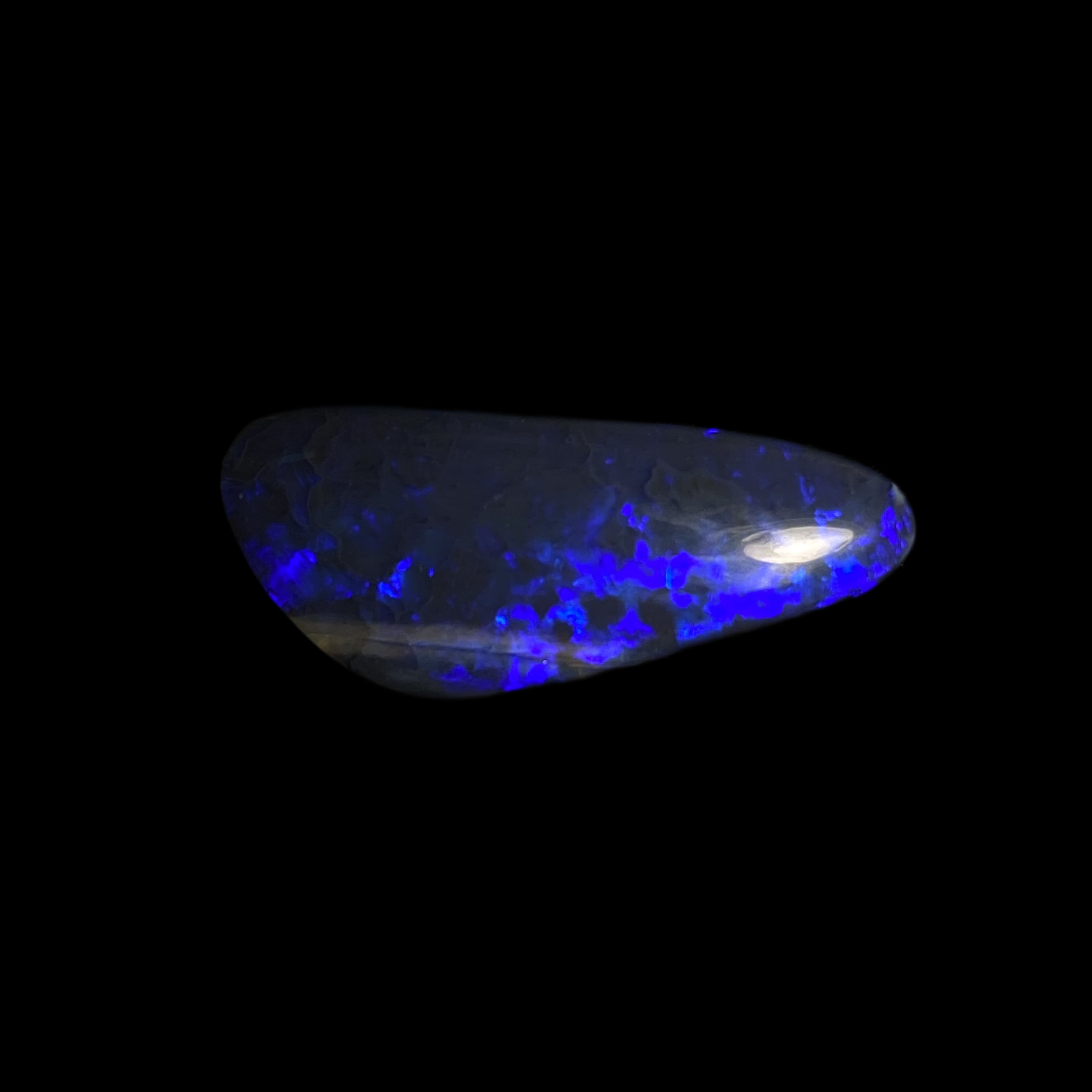 Solid black opal – 11633
