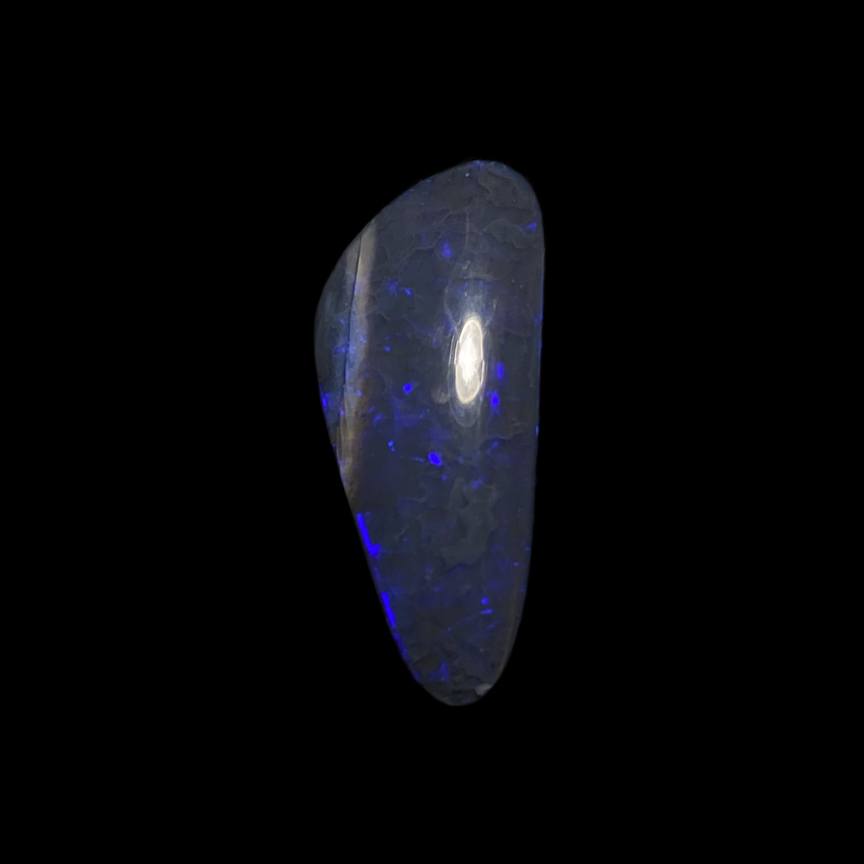 Solid black opal – 11633