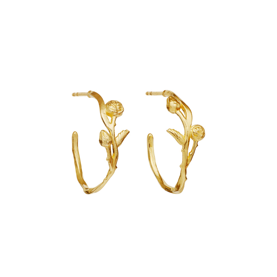 Earrings - Kalyna
