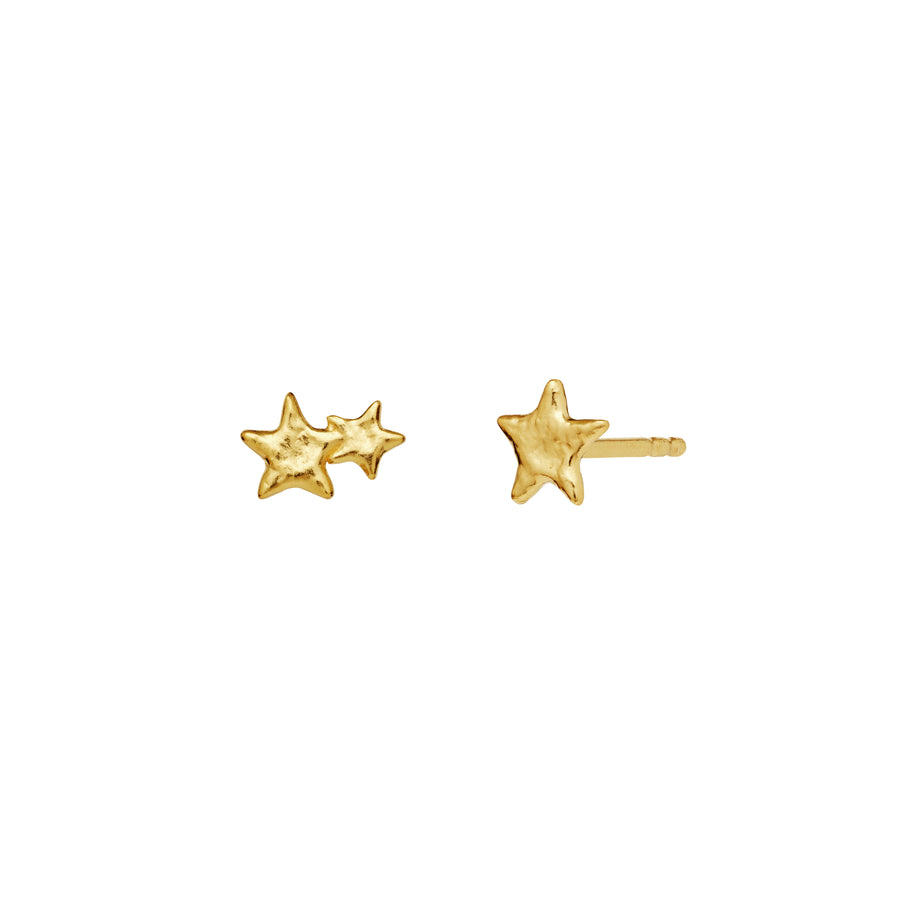 Earrings - Twinkle