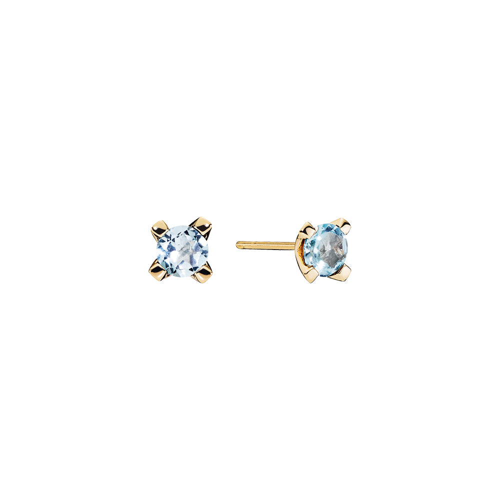 Earrings - Topaz