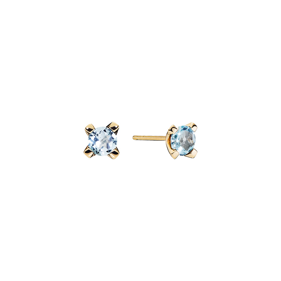Earrings - Topaz