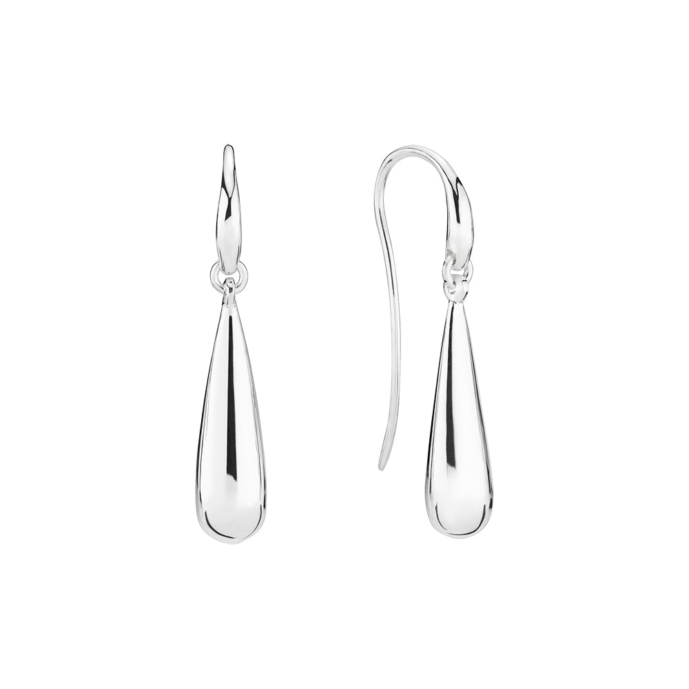 Earrings - silver