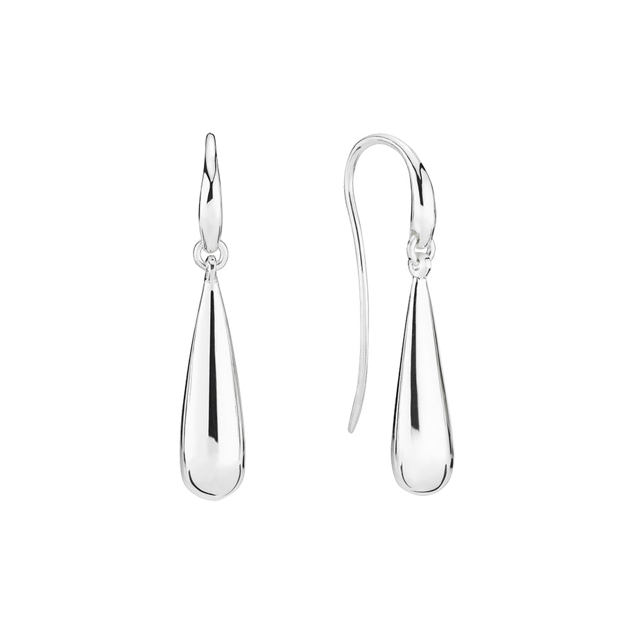 Earrings - silver
