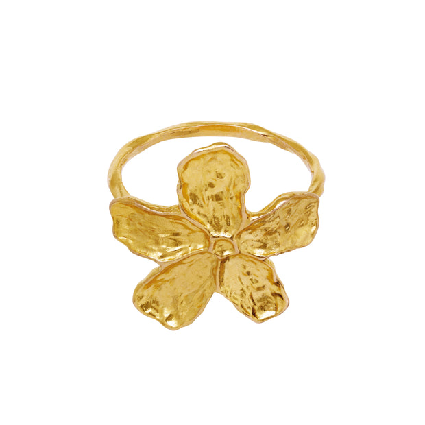 Fraisa ring fra Maanesten. Forgyldt sølv.