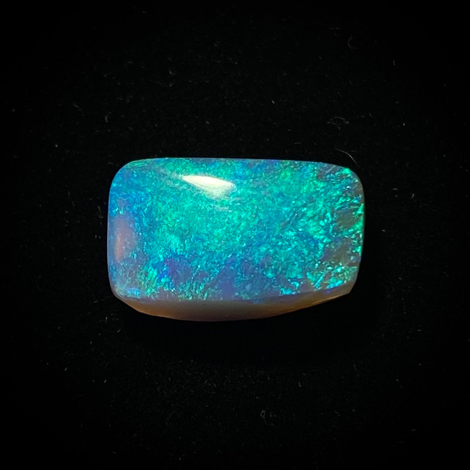 Solid mørk opal - 11393