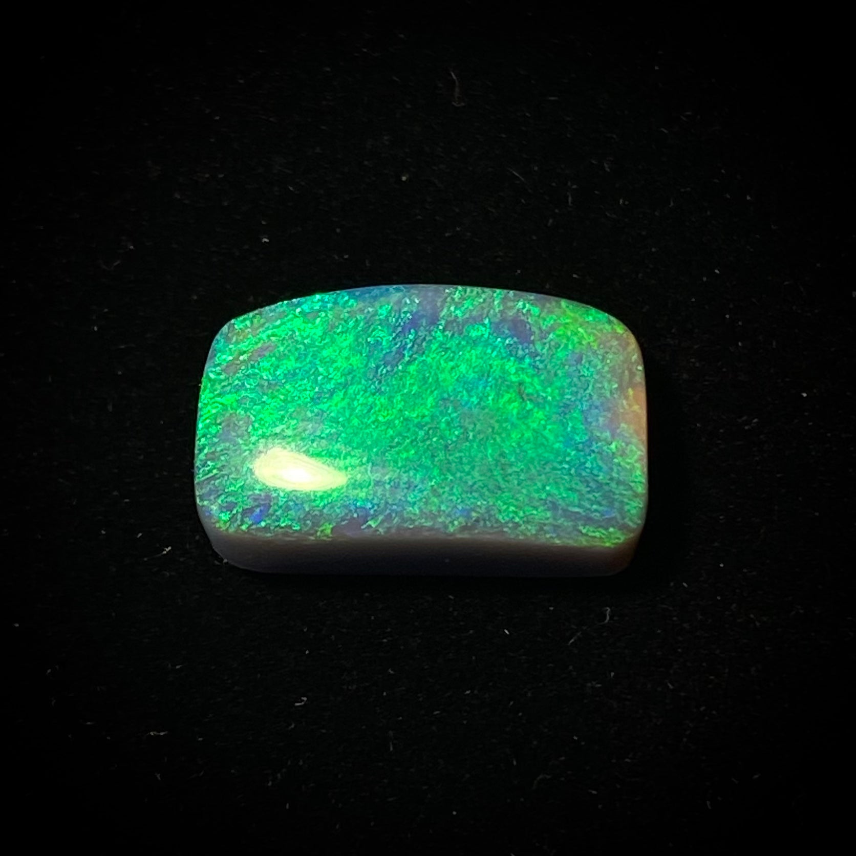 Solid mørk opal - 11393