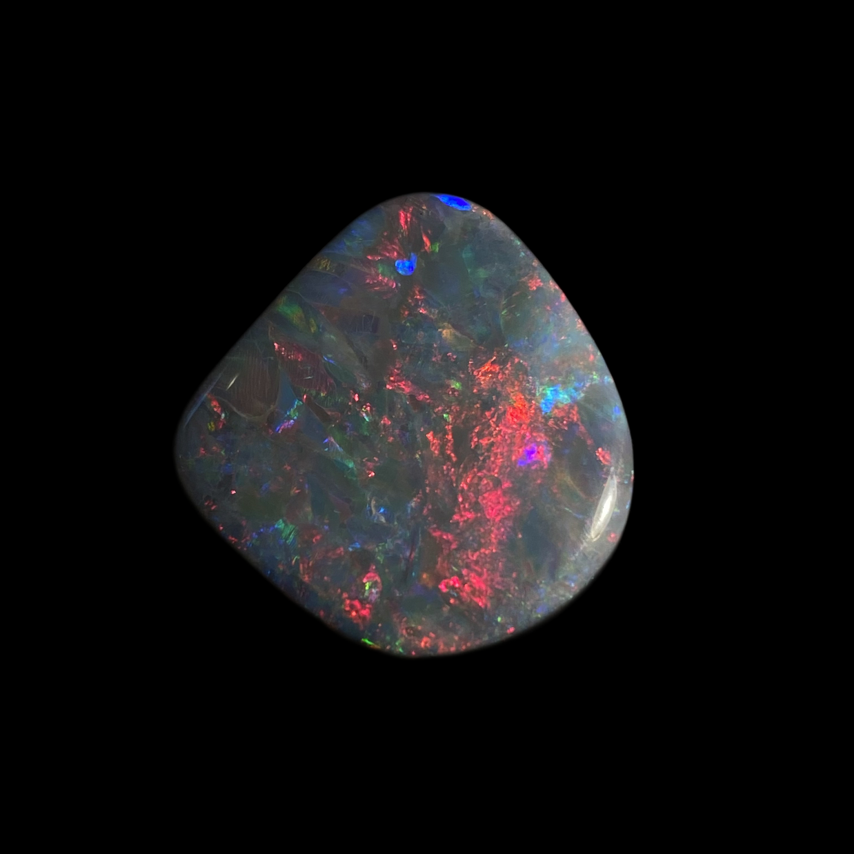 Solid black opal – 11549