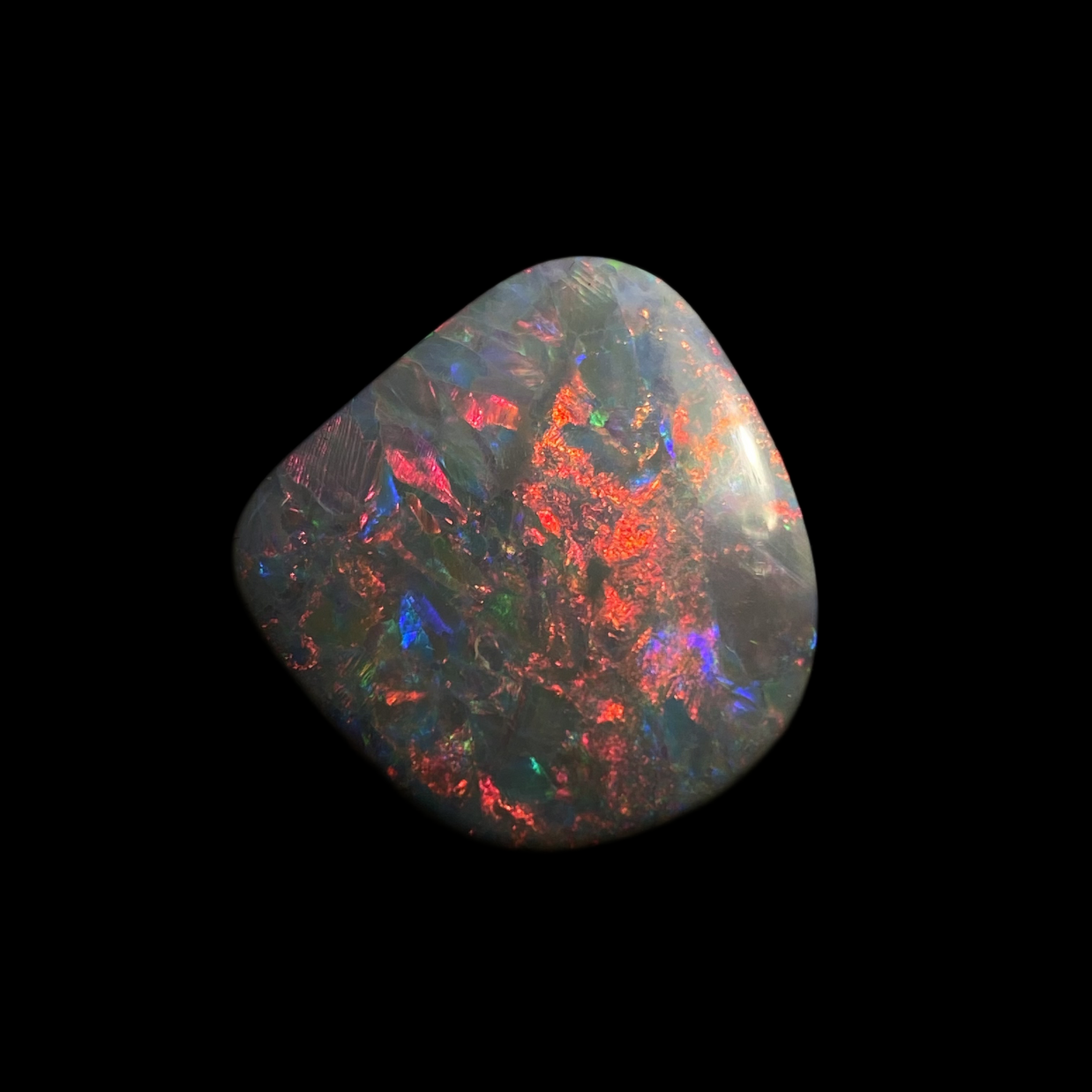 Solid black opal – 11549
