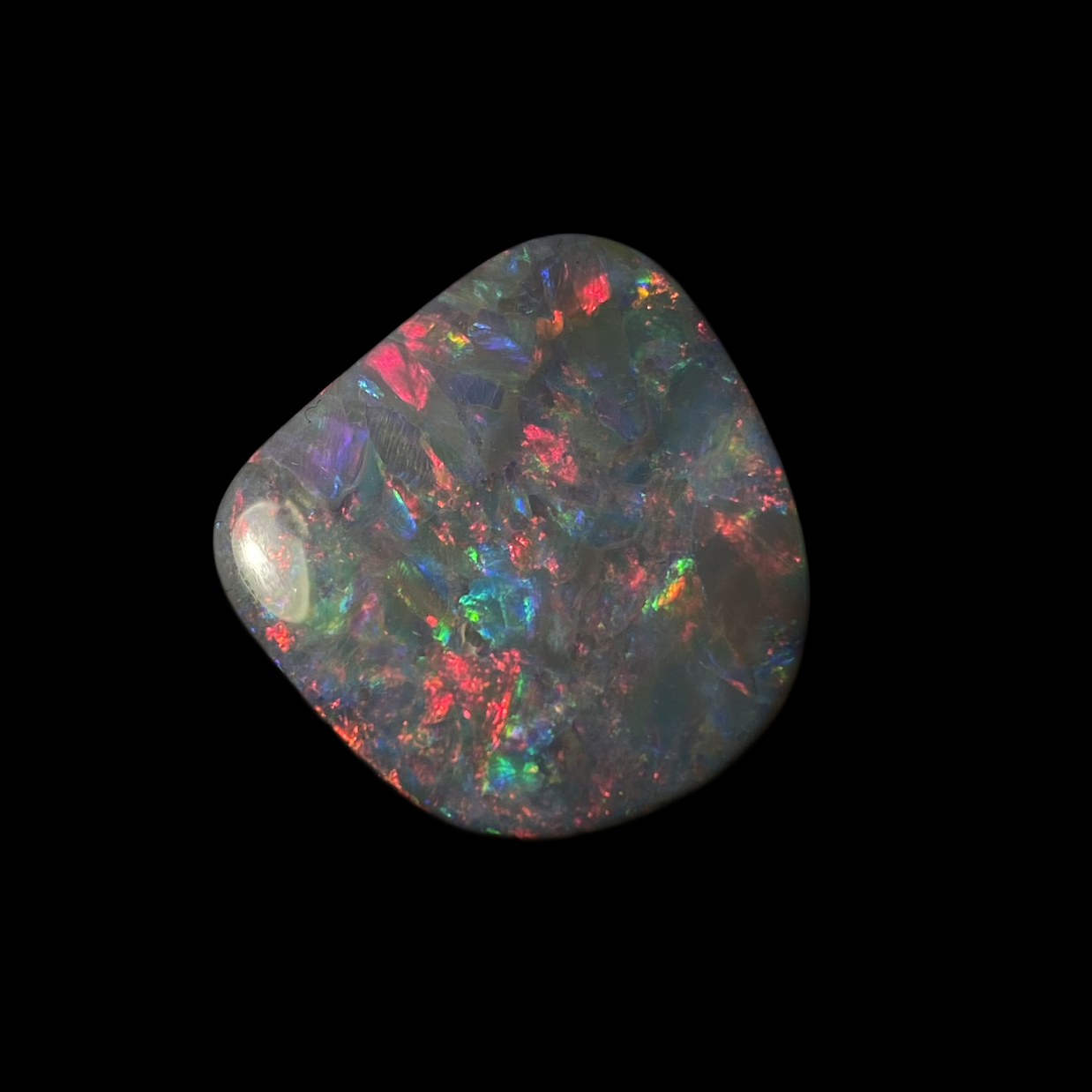 Solid black opal – 11549