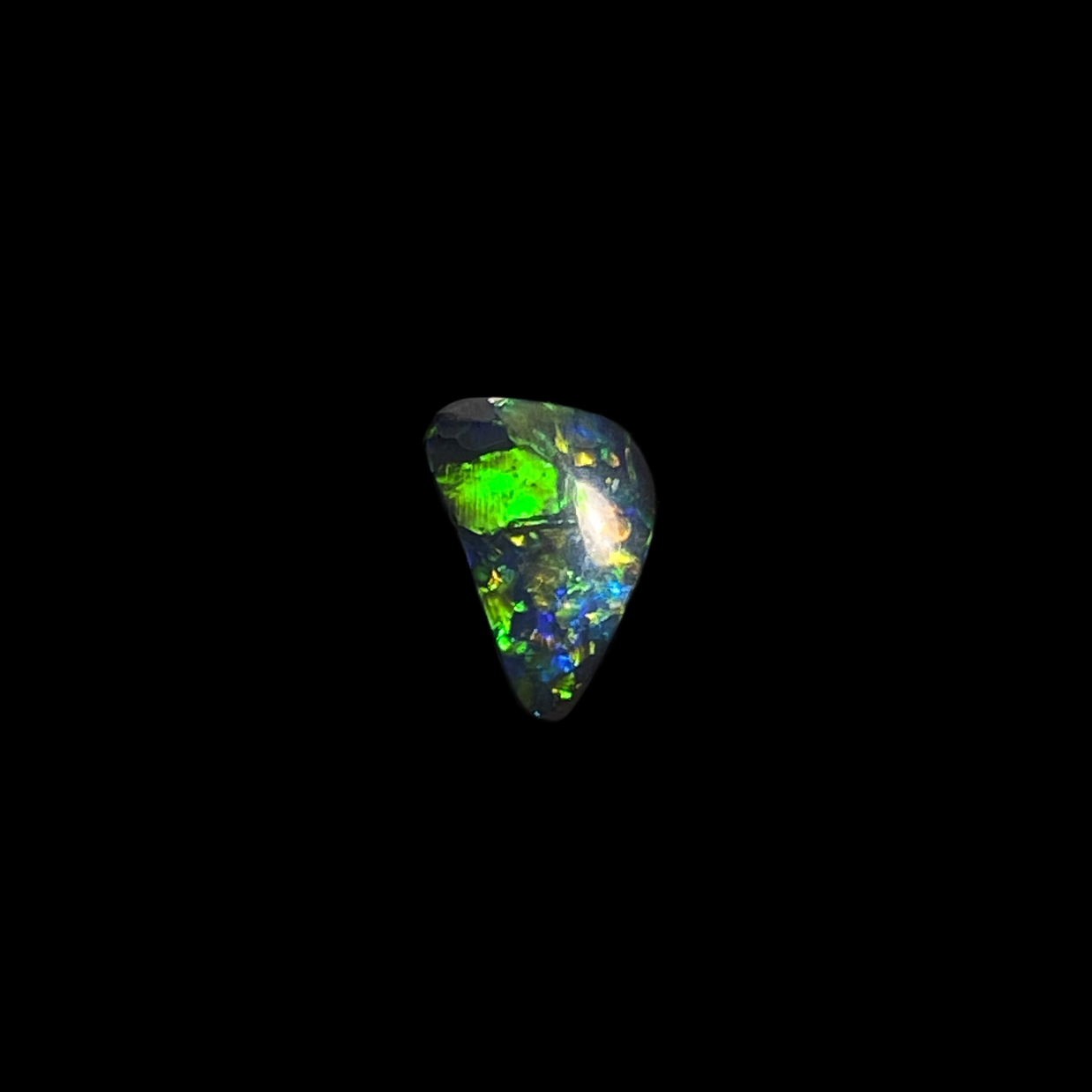 Solid black opal – 11592