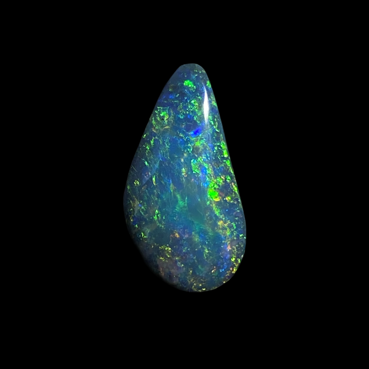 Solid black opal – 11623