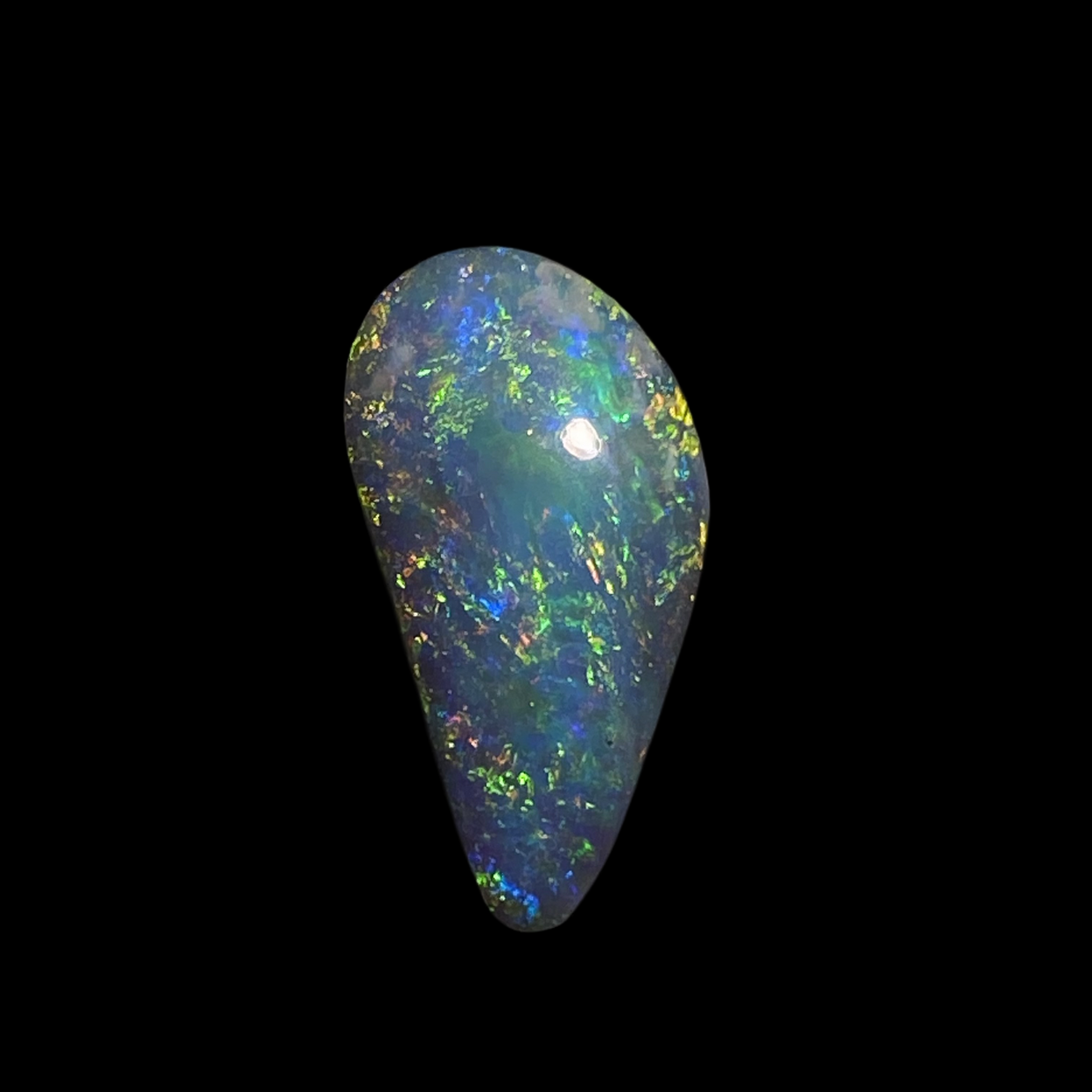 Solid black opal – 11623