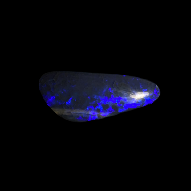 Solid black opal – 11633