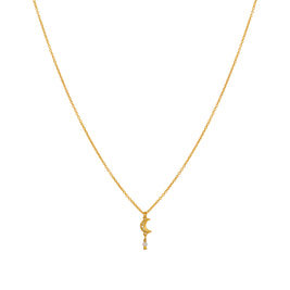 Månen symboliserer fornyelse, forandring og vores konstante spirituelle udvikling. Siva halskædens fine månevedhæng, bliver poetisk og personlig påmindelse om, at følge sin intuition og gå sine egne veje.