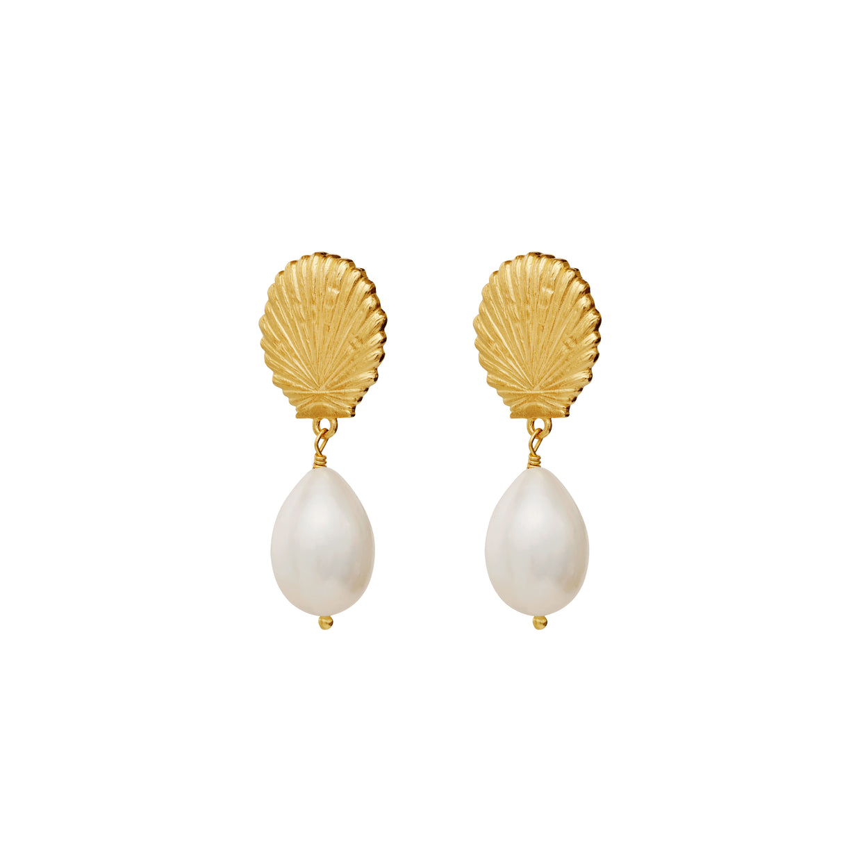 Earrings - Venus 