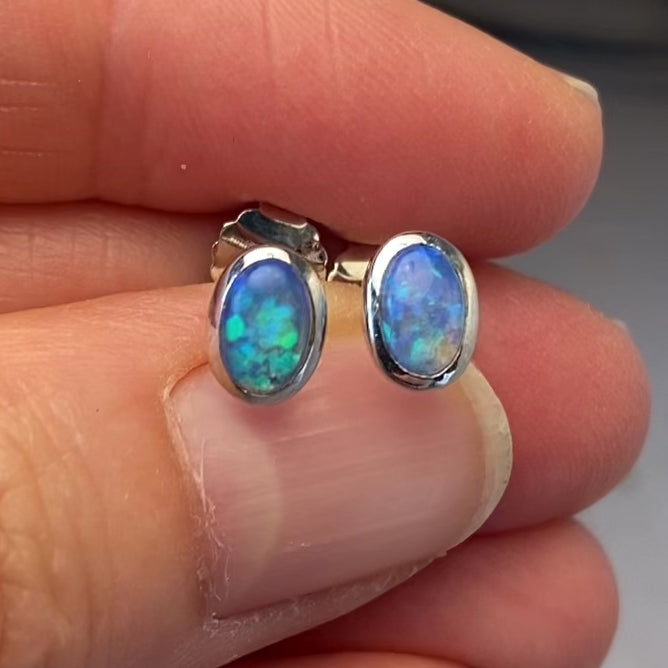 Opal ørestikkerne har ægte solide Australske krystal opaler indfattet i blankt sterling sølv.