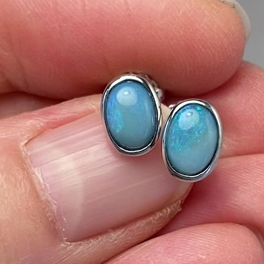 Opal ørestikkerne har ægte solide Australske krystal opaler indfattet i blankt sterling sølv.