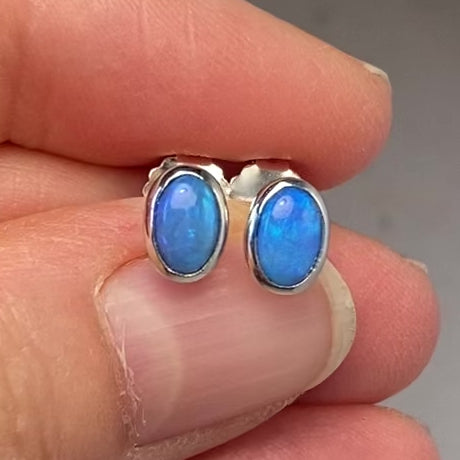 Opal ørestikkerne har ægte solide Australske krystal opaler indfattet i blankt sterling sølv.