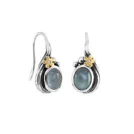 Earrings - Hawaii