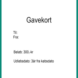 Geschenkkarte 300 DKK