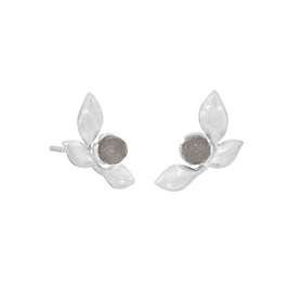 Earrings - Elegant Touch