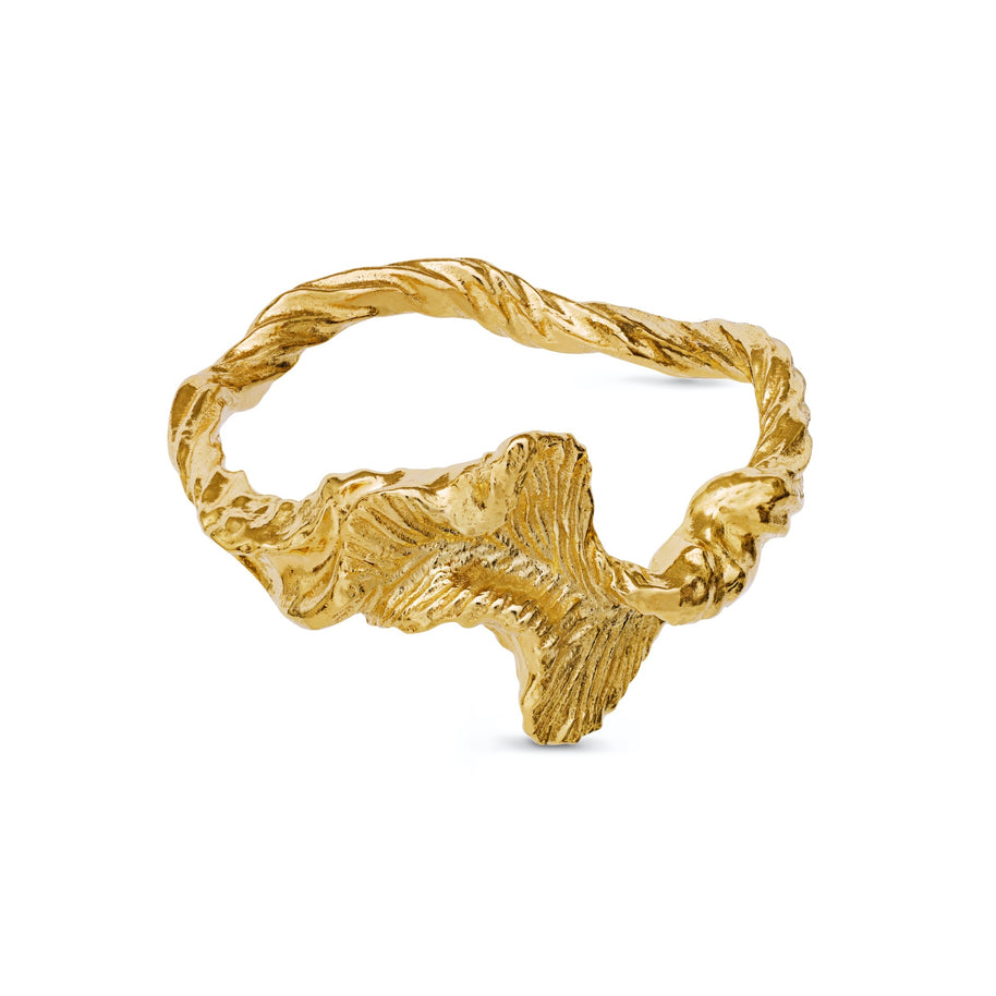 Nino ring fra Maanesten. Forgyldt sølv.